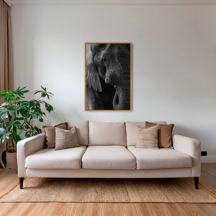 Texture d'Éléphant