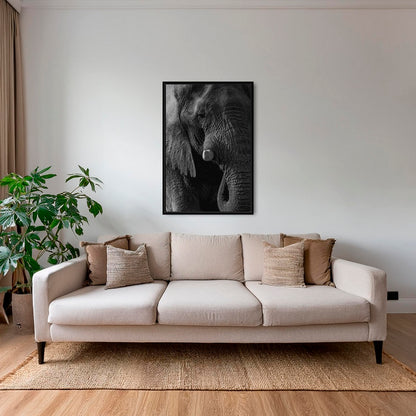 Texture d'Éléphant