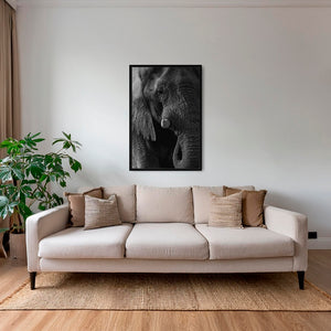 Texture d'Éléphant
