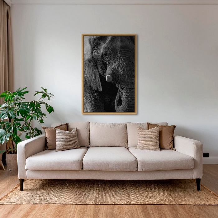 Texture d'Éléphant