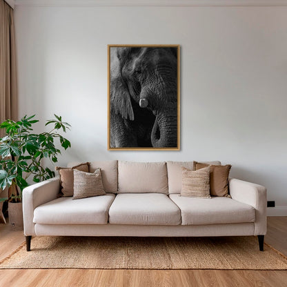 Texture d'Éléphant