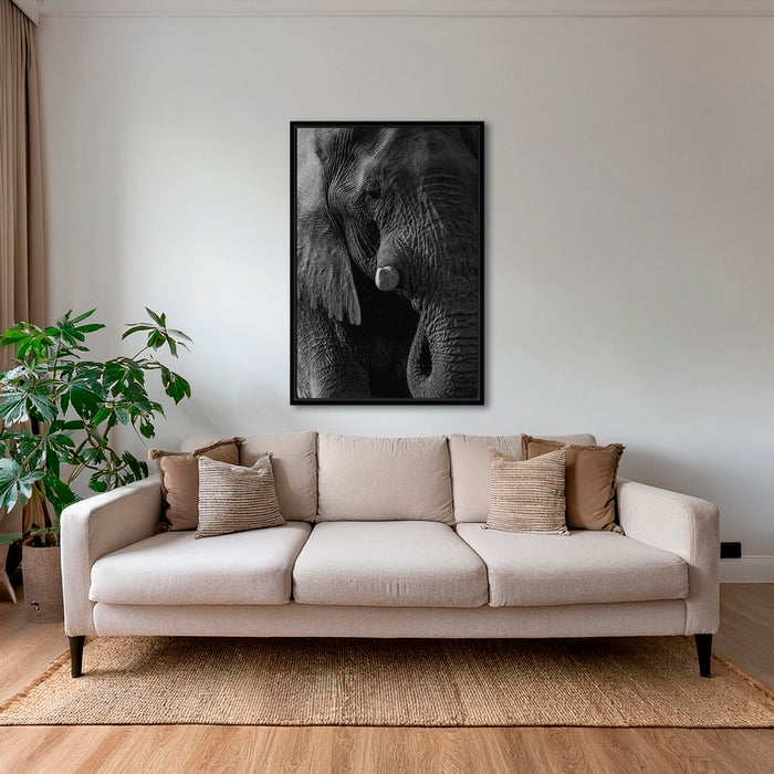 Texture d'Éléphant