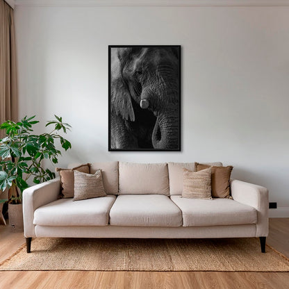 Texture d'Éléphant