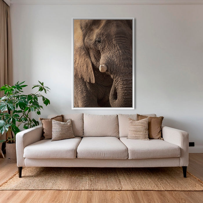 Texture d'Éléphant 2