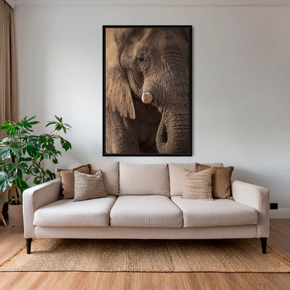 Texture d'Éléphant 2