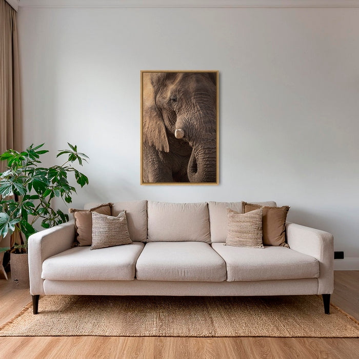 Texture d'Éléphant 2