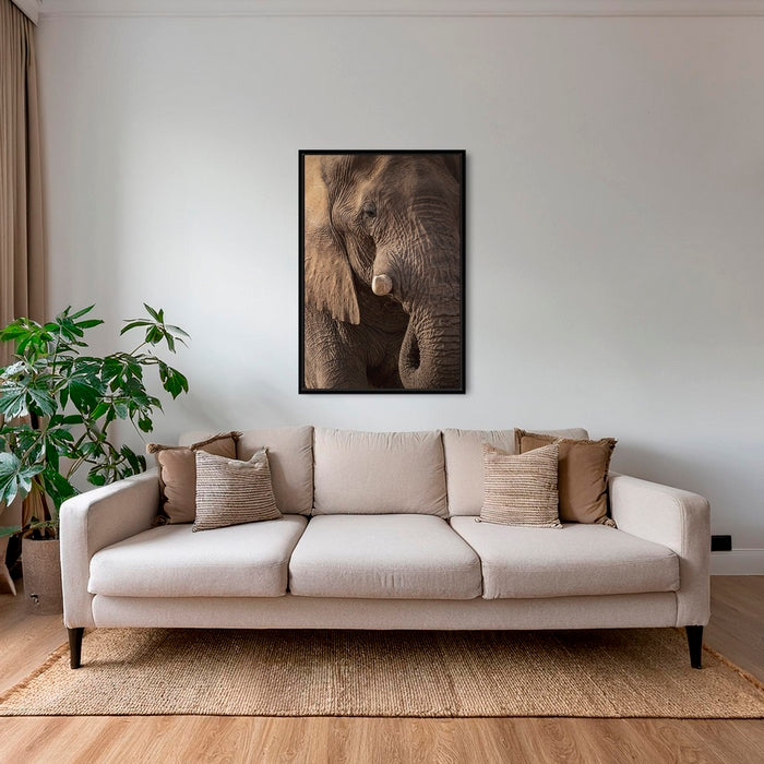 Texture d'Éléphant 2