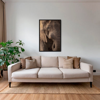 Texture d'Éléphant 2