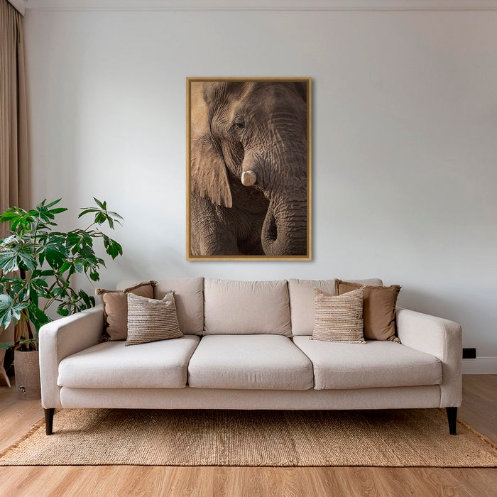 Texture d'Éléphant 2