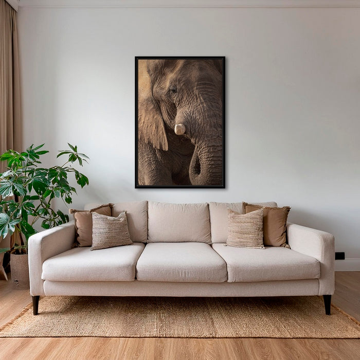 Texture d'Éléphant 2