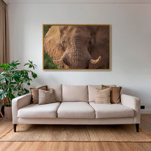 Charger l&#39;image dans la galerie, Bull
