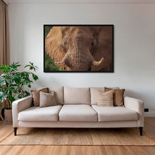 Charger l&#39;image dans la galerie, Bull
