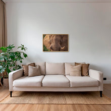 Charger l&#39;image dans la galerie, Bull
