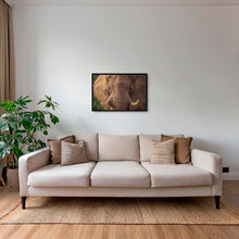 Charger l&#39;image dans la galerie, Bull
