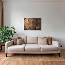 Charger l&#39;image dans la galerie, Bull
