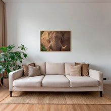 Charger l&#39;image dans la galerie, Bull
