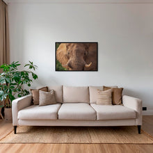 Charger l&#39;image dans la galerie, Bull
