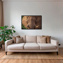 Charger l&#39;image dans la galerie, Bull
