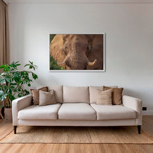 Charger l&#39;image dans la galerie, Bull
