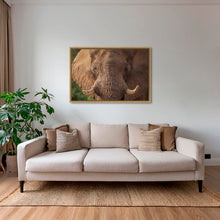 Charger l&#39;image dans la galerie, Bull
