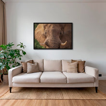 Charger l&#39;image dans la galerie, Bull
