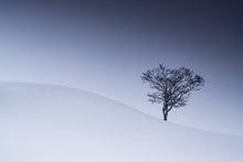 Charger l&#39;image dans la galerie, Sur la courbe
