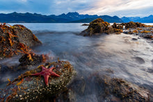 Charger l&#39;image dans la galerie, Etoiles de PWS
