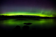 Charger l&#39;image dans la galerie, Que le spectacle commence 2
