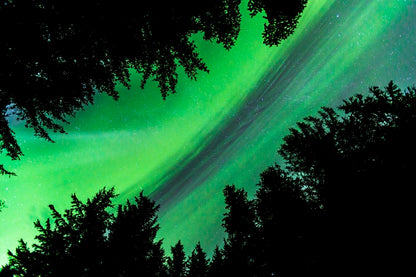 Aurores boréales en Alaska