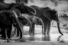 Charger l&#39;image dans la galerie, La famille au bar
