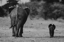 Charger l&#39;image dans la galerie, La famille avant tout

