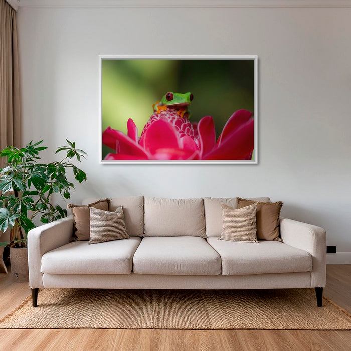 La rainette et la rose