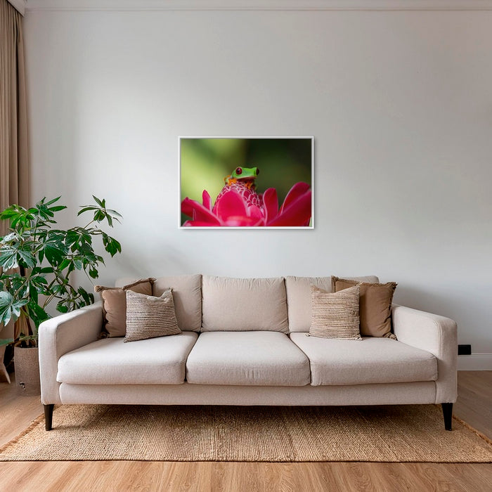 La rainette et la rose