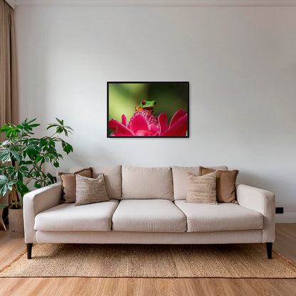 La rainette et la rose