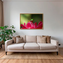 Charger l&#39;image dans la galerie, La rainette et la rose
