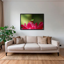 Charger l&#39;image dans la galerie, La rainette et la rose
