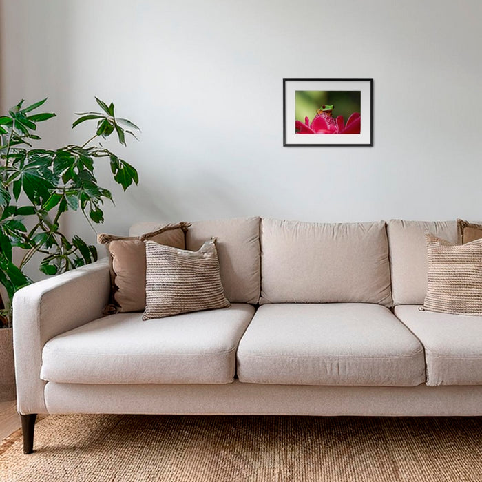 La rainette et la rose