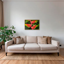 Charger l&#39;image dans la galerie, Rainette et Heliconia
