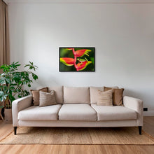 Charger l&#39;image dans la galerie, Rainette et Heliconia
