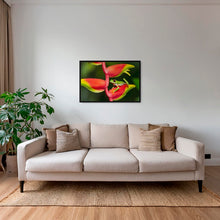 Charger l&#39;image dans la galerie, Rainette et Heliconia
