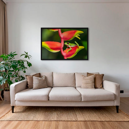 Rainette et Heliconia