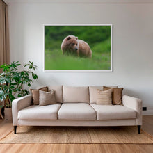 Charger l&#39;image dans la galerie, Teddy la peluche 2
