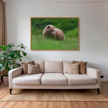 Charger l&#39;image dans la galerie, Teddy la peluche 2
