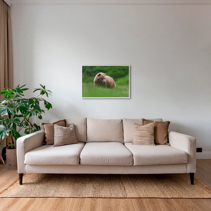 Teddy la peluche 2