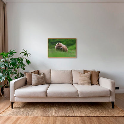 Teddy la peluche 2