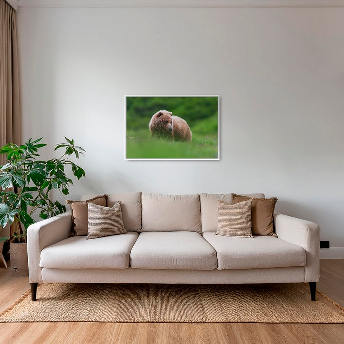Teddy la peluche 2