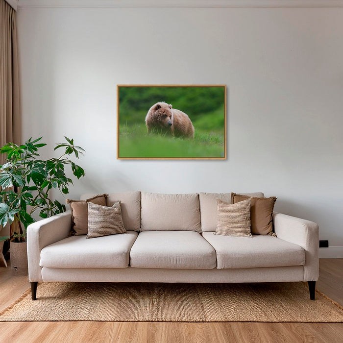 Teddy la peluche 2