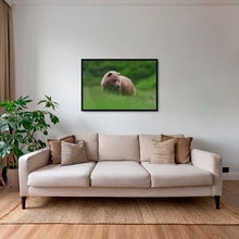 Charger l&#39;image dans la galerie, Teddy la peluche 2
