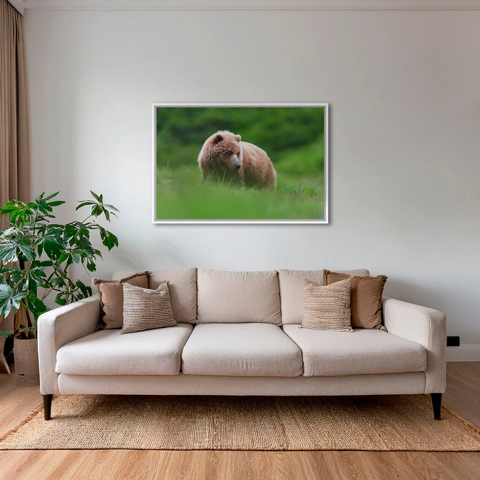 Teddy la peluche 2