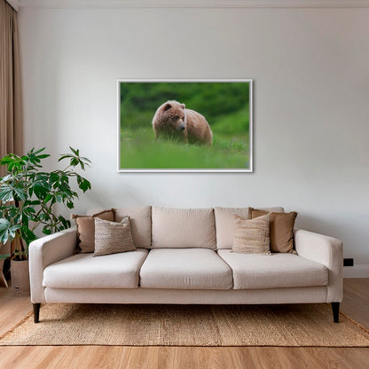 Teddy la peluche 2
